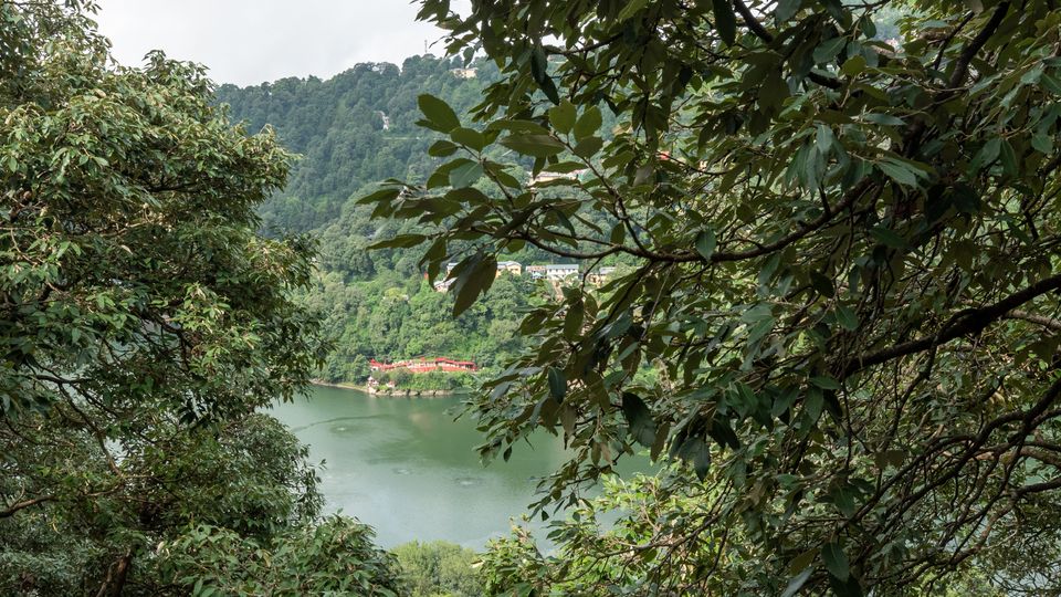 A view through the trees in the Indian hills